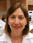 Ellen Gravallese, M.D.