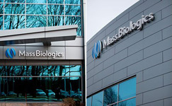 MassBiologics Lab