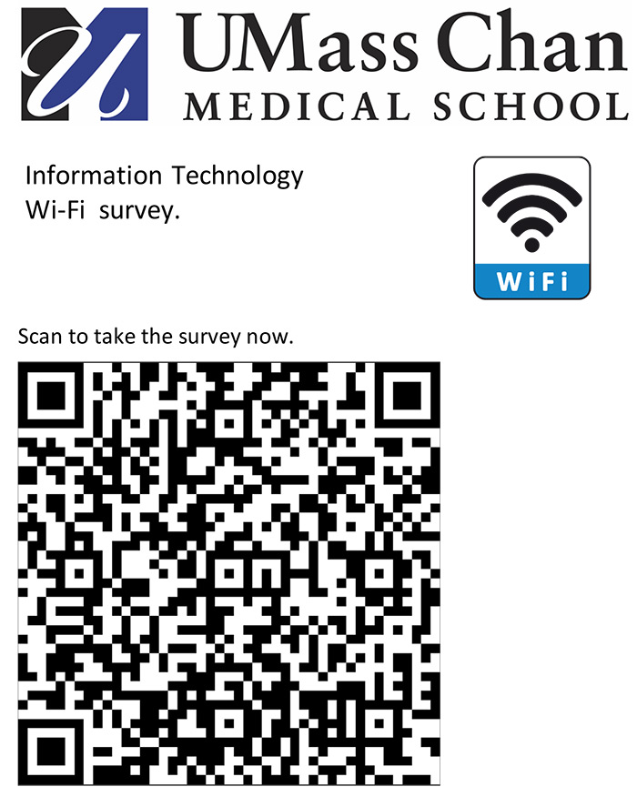 Image for IT Wi-Fi survey