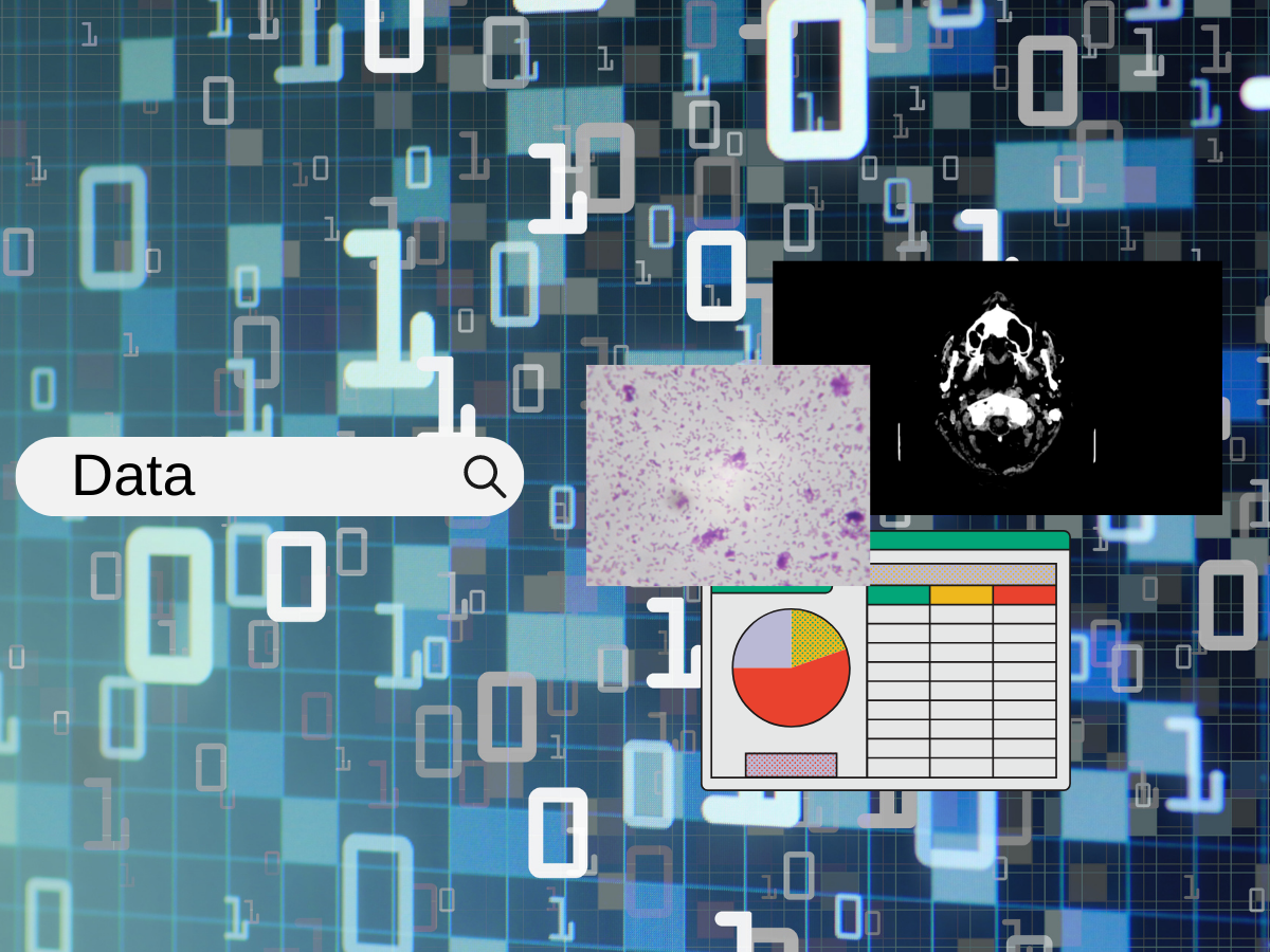 search bar with the text data typed in and images of a spreadsheet, microscope image, and CT brain scan floating on a background of ones and zeroes.