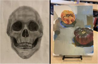 A drawing of a skull and a painting of two gourds. 