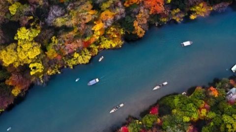 Image of a river with fall leaves