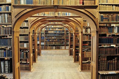 this image shows a corridor lined with book shelves; the point of view makes it look as if one could walk down the aisle.
